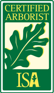 Green and yellow Certified Arborist ISA logo featuring an oak leaf.
