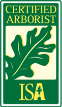 Green and yellow Certified Arborist ISA logo featuring an oak leaf.