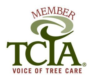 TCIA logo: Green stylized tree image with 