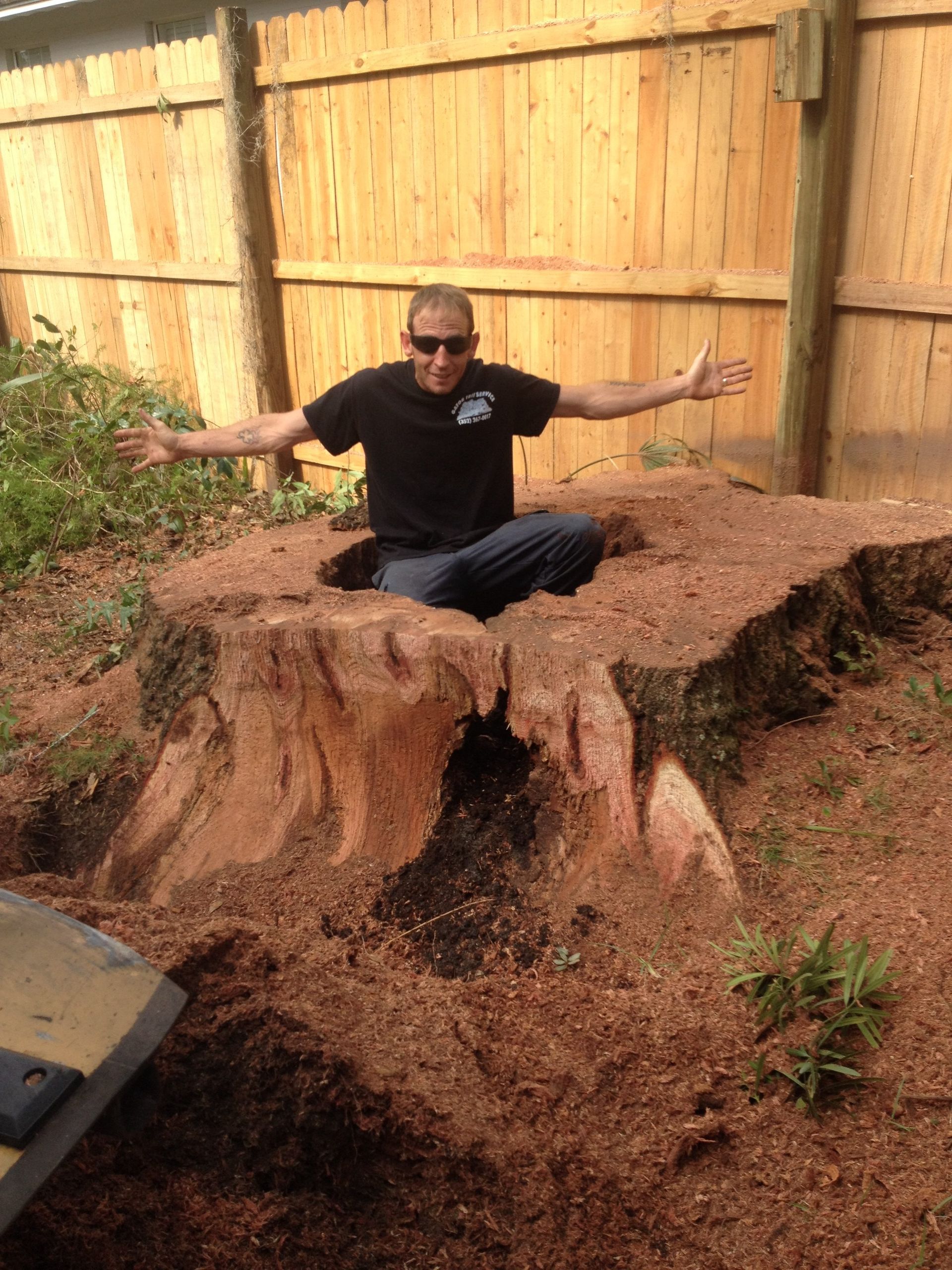 Man sitting inside a large tree stump with arms outstretched, brown wood chips, wooden fence in the background.