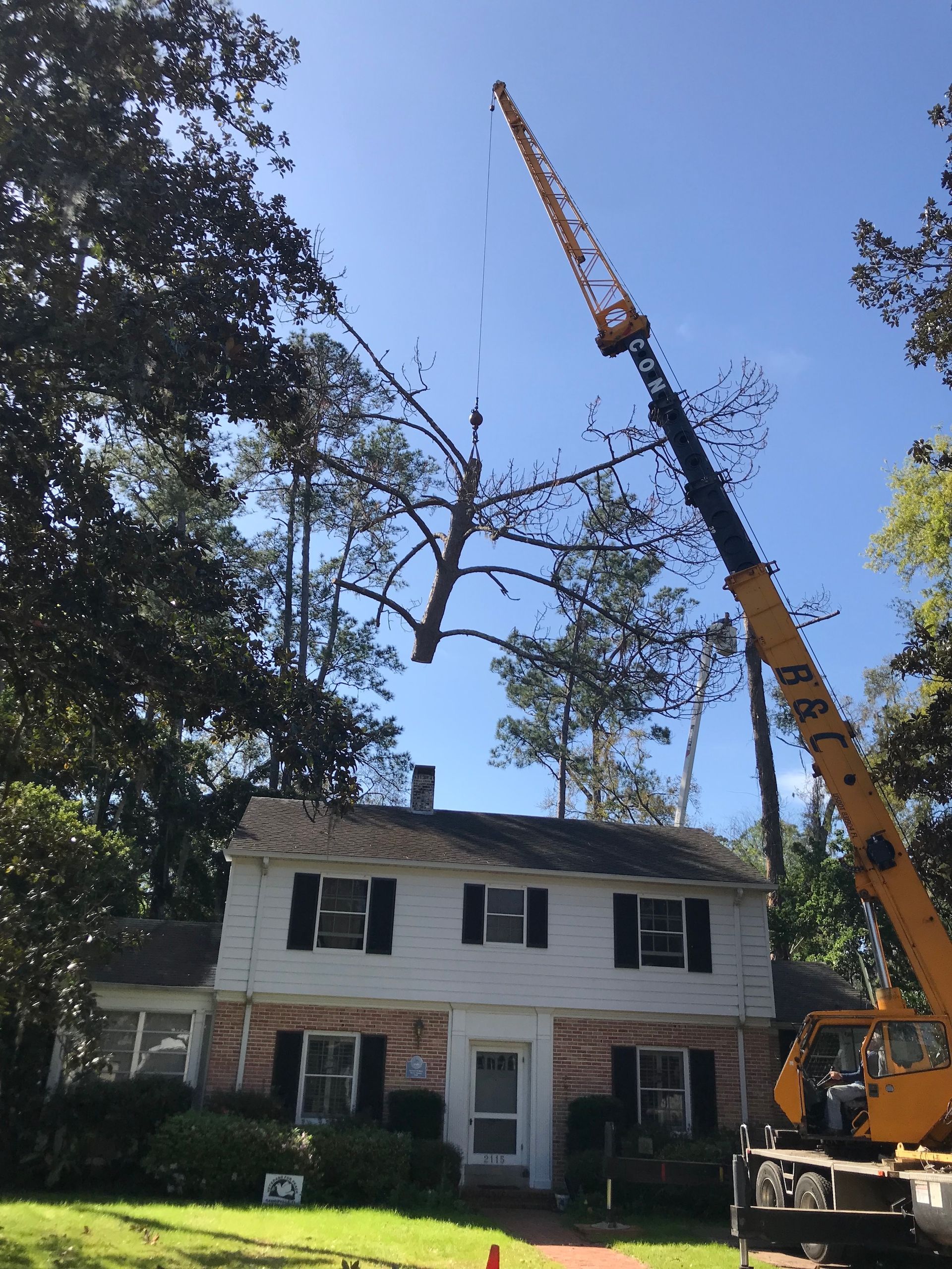 A crane removing a tree branch above a two-story white house with black shutters, under a blue sky.