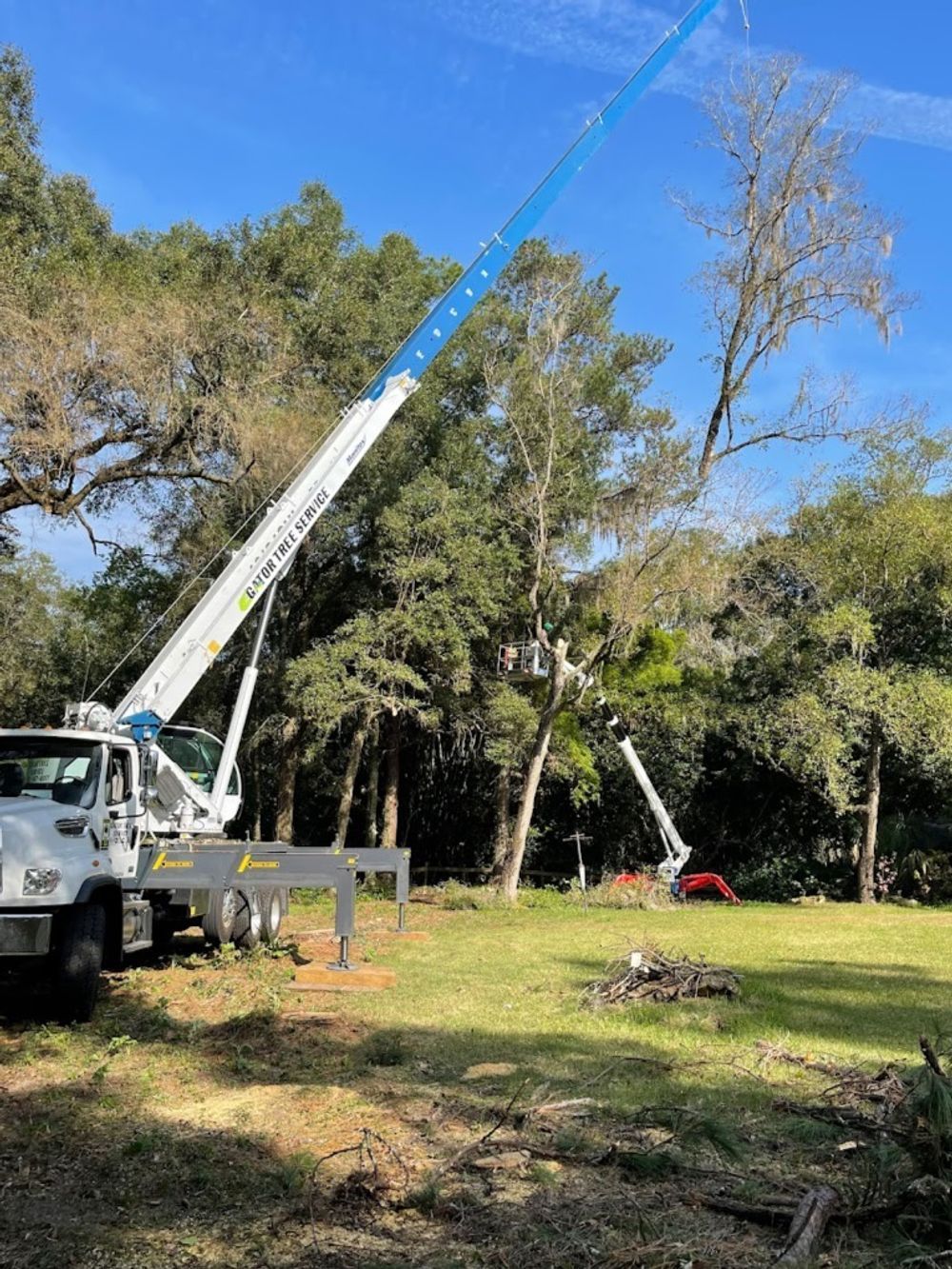 Crane Services — Gainesville, FL — Gator Tree Service, Inc.