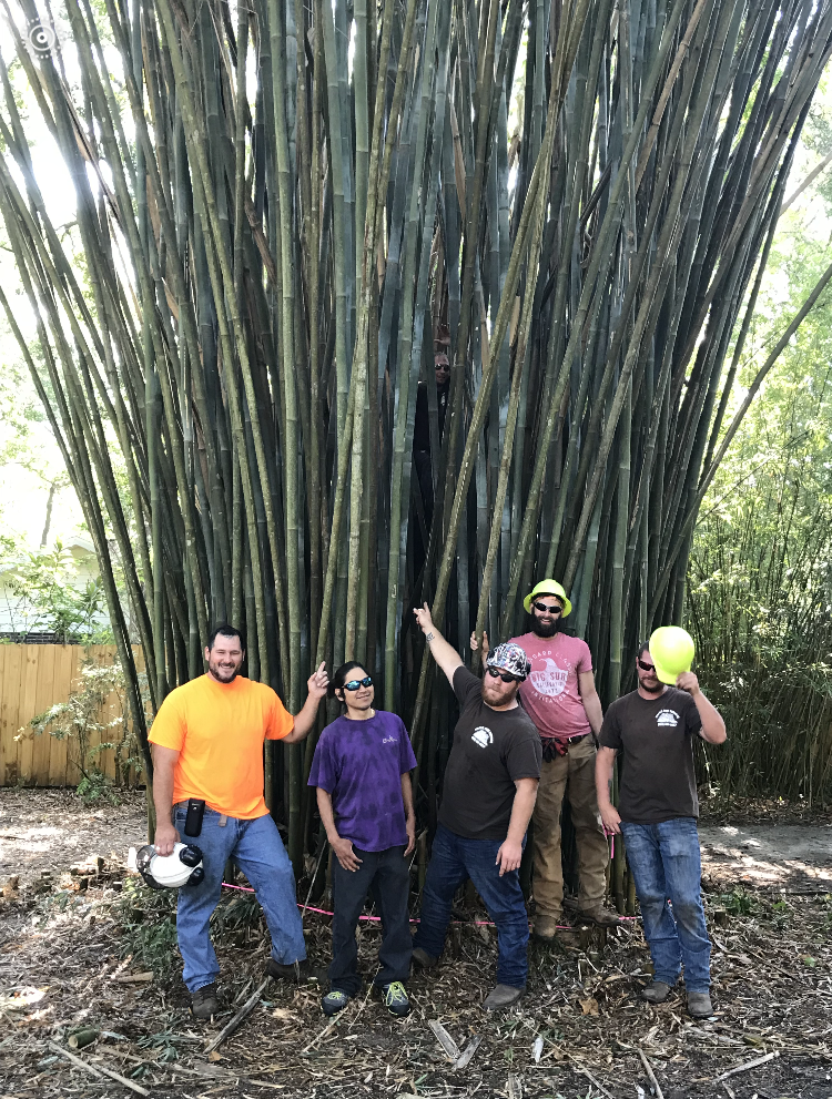 Five people pose in front of a giant bamboo plant. They are pointing and smiling. Outdoors, sunny.
