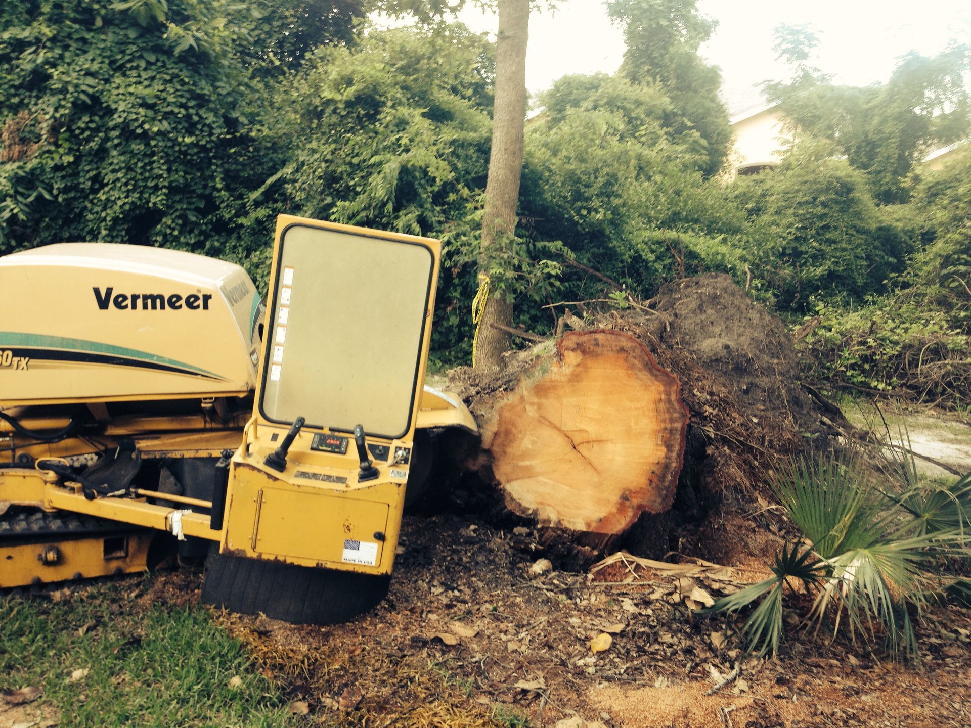 A yellow Vermeer stump grinder next to a cut tree trunk and brush, in a yard.