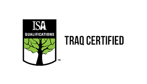 Logo for ISA Qualifications. Text reads 