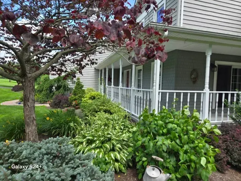 Suburban house with white porch railings, red-leaf tree, and lush green shrubs in front yard