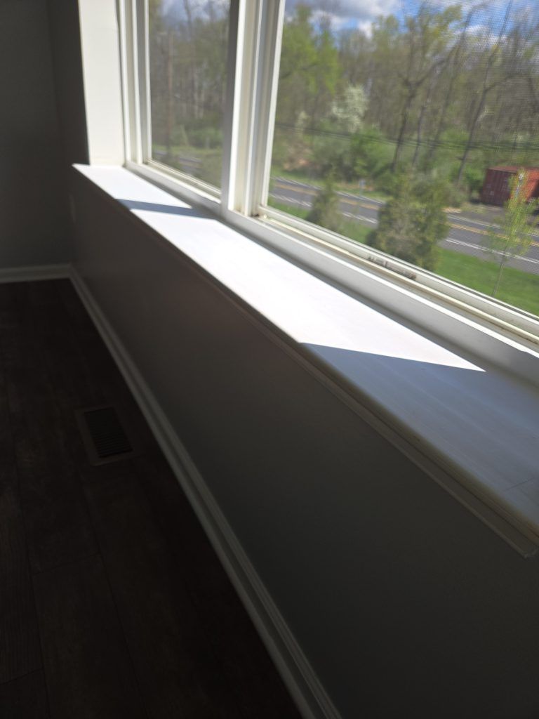 Sunlit window ledge in a room, with trees visible outside.