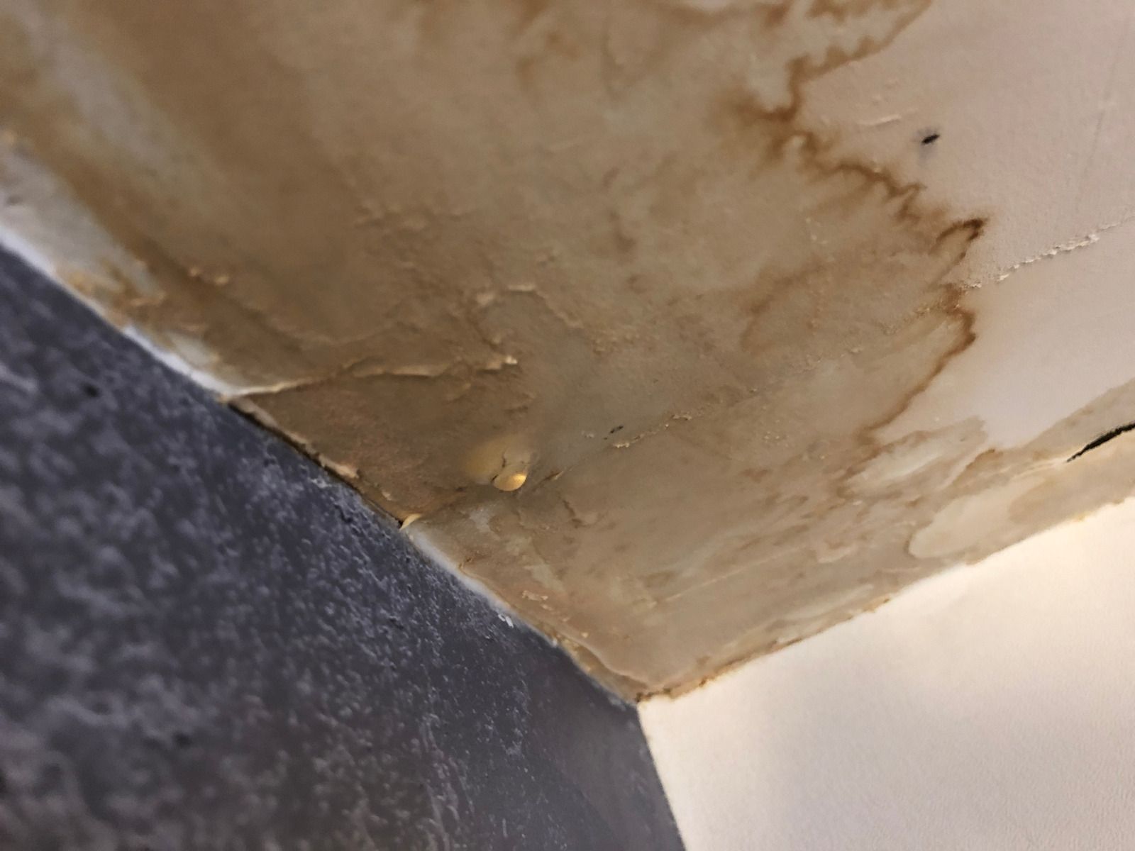 Beige courtyard wall beneath a blue skylight, with a bright patch of sunlight.