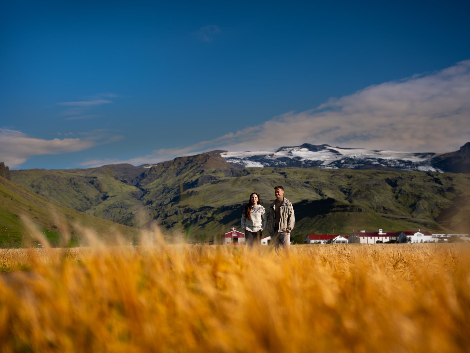 Tveir göngufólk standa í gullnum reit með snæviþöktum fjöllum og bláum himni í bakgrunni.