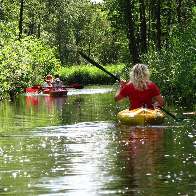 Mensen kajakken over een groene, met bomen omzoomde rivier. Eén persoon in een gele kajak peddelt naar de camera.