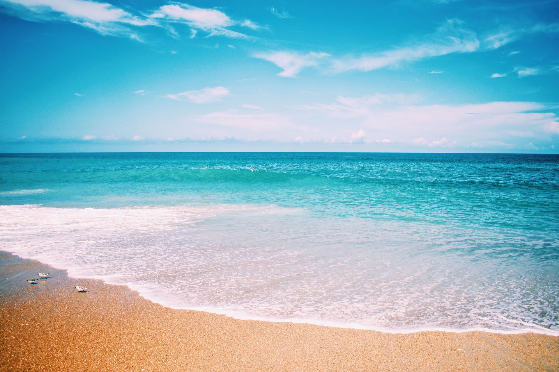 Beach scene: calm turquoise ocean meets golden sand under a bright blue sky with white clouds.