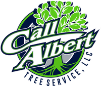 Call Albert Tree Service