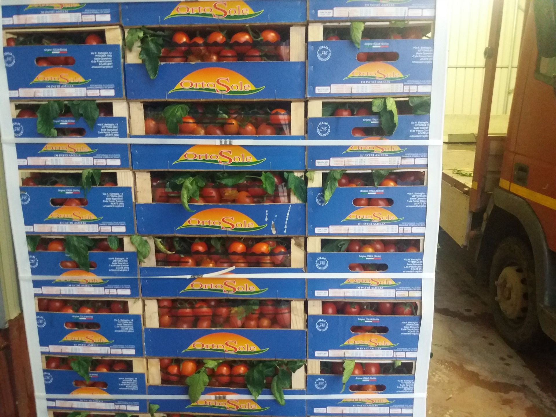 crates of tomatoes
