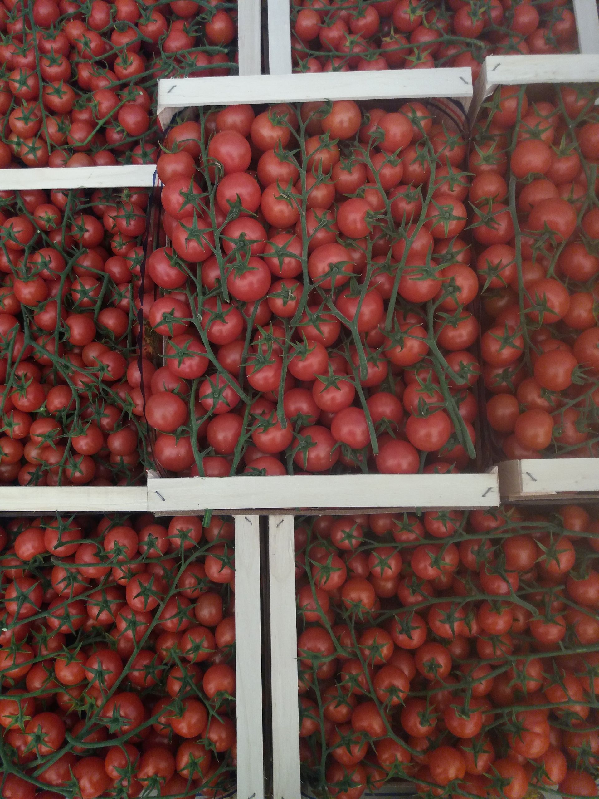 crates of tomatoes