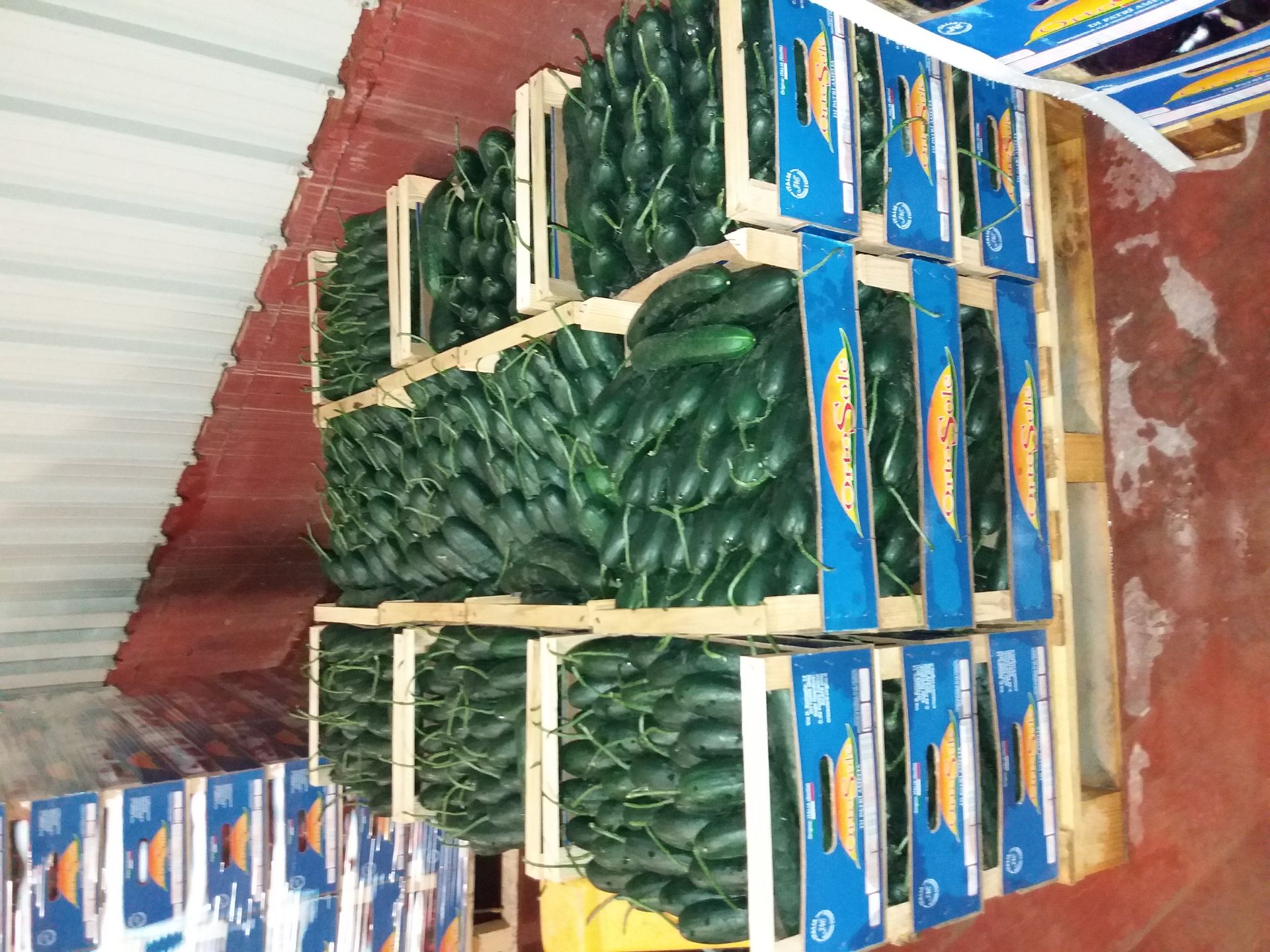 crates of cucumbers