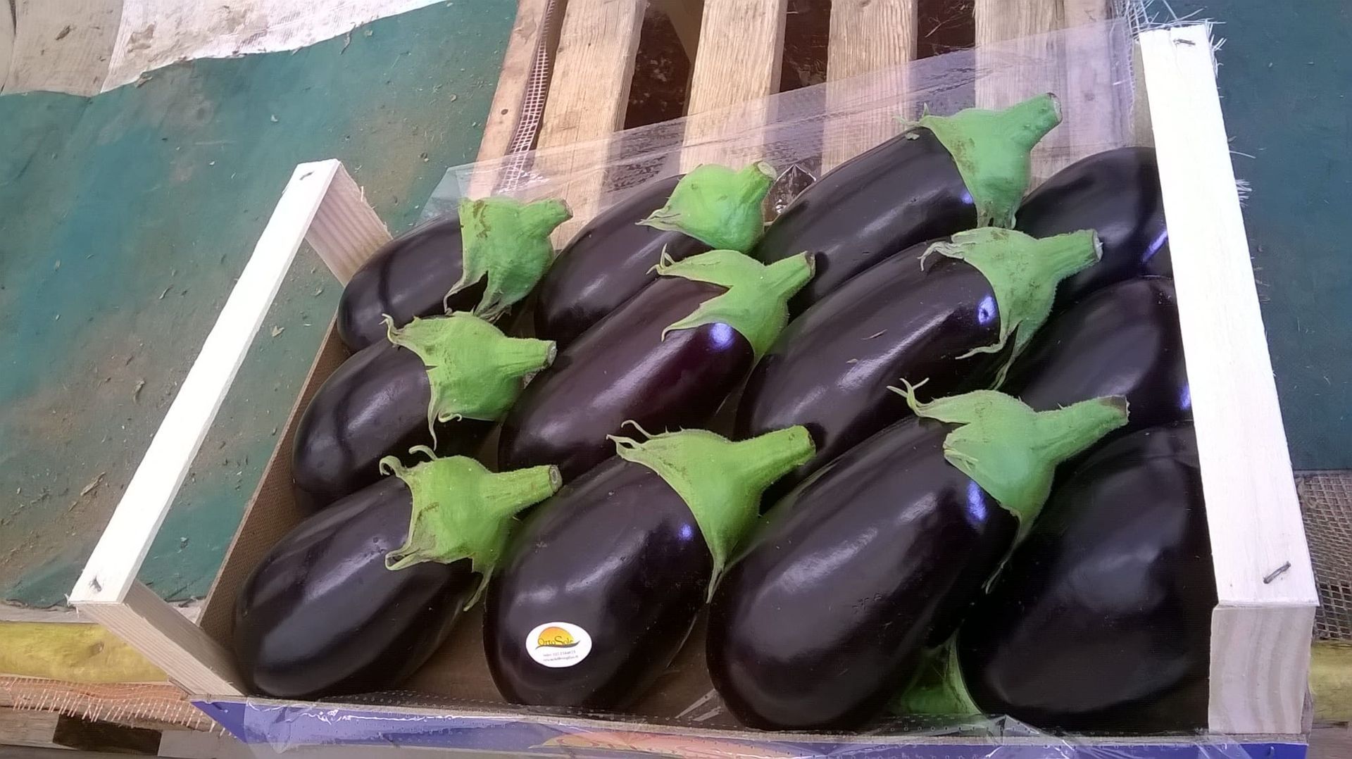 melanzane