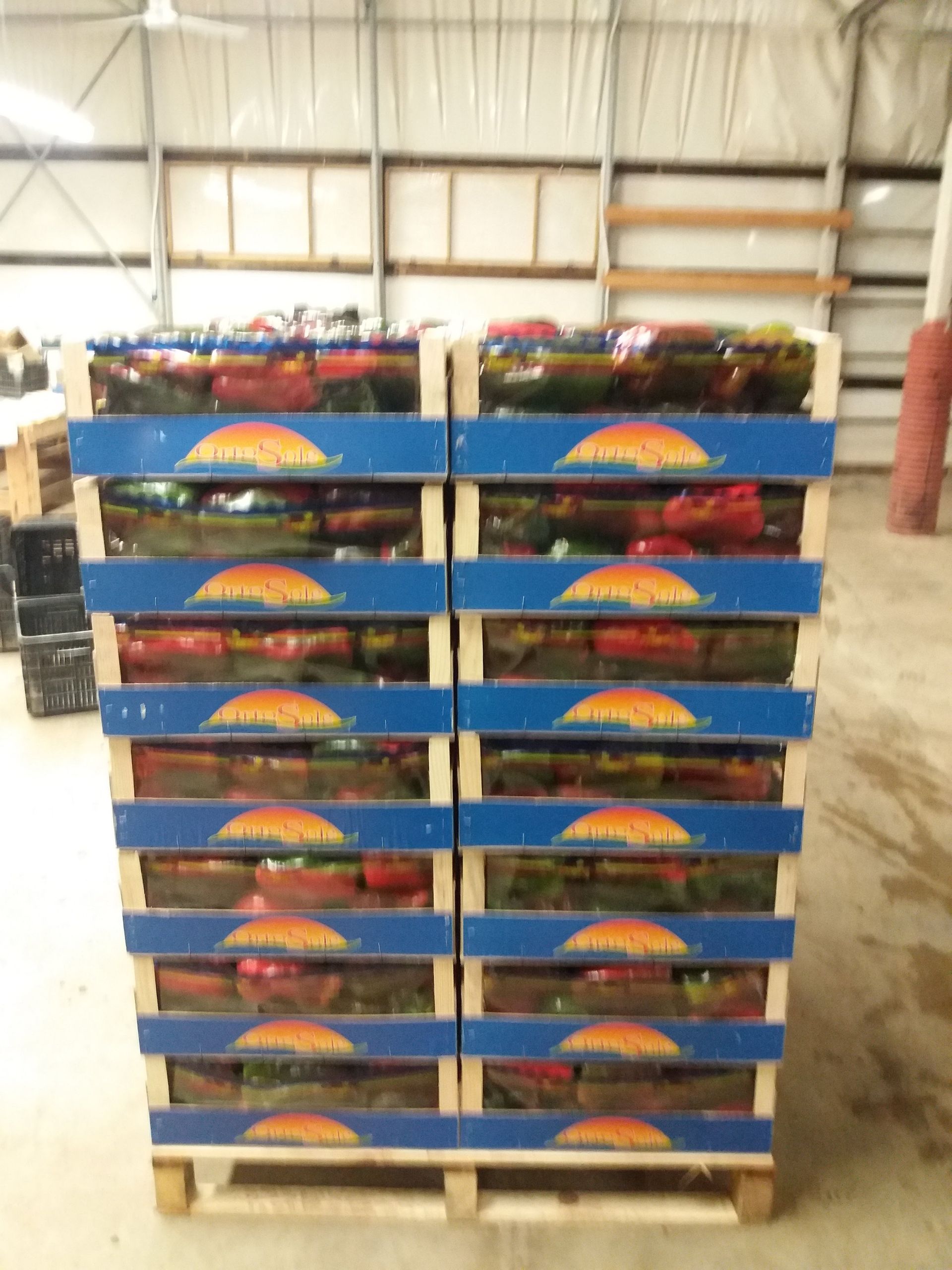 crates of red peppers