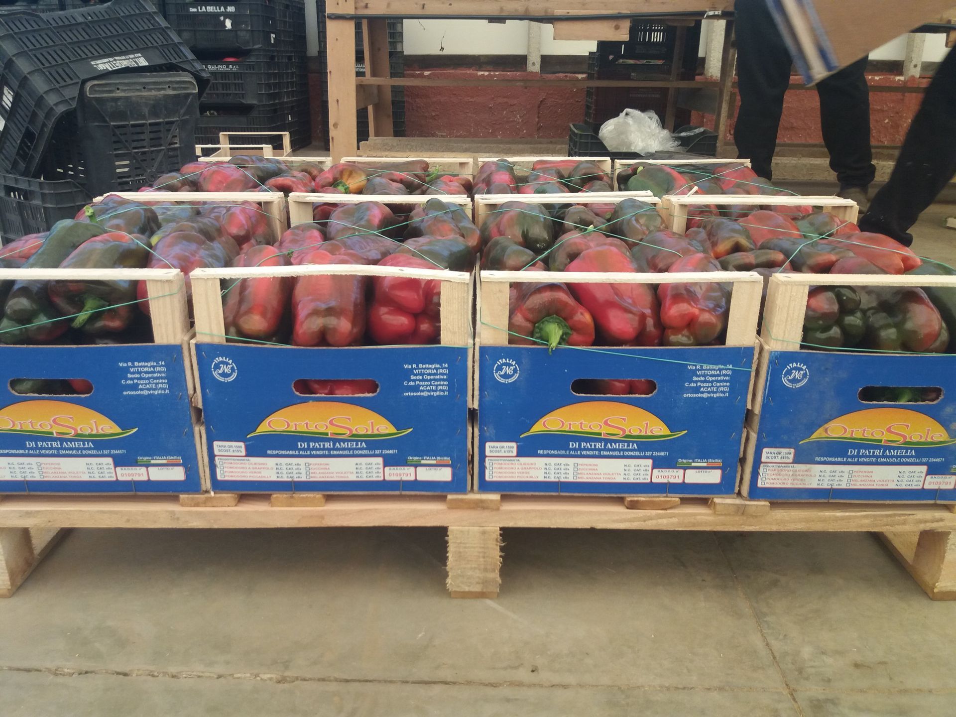 crates of red peppers