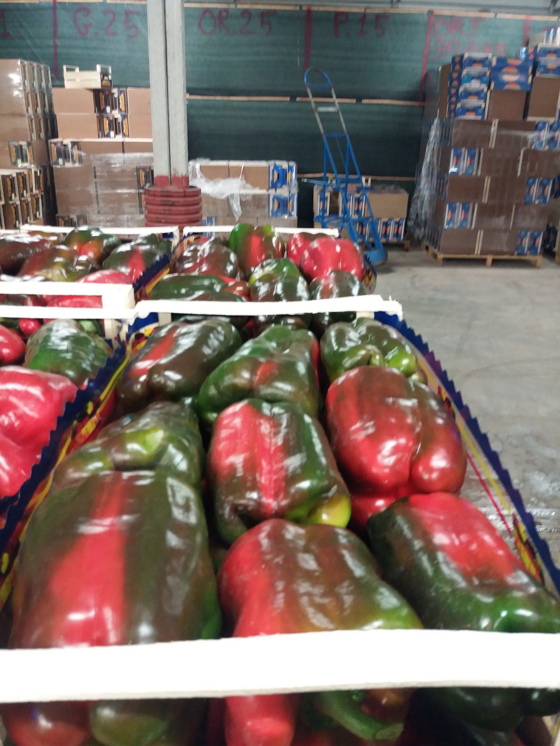 crate of peppers