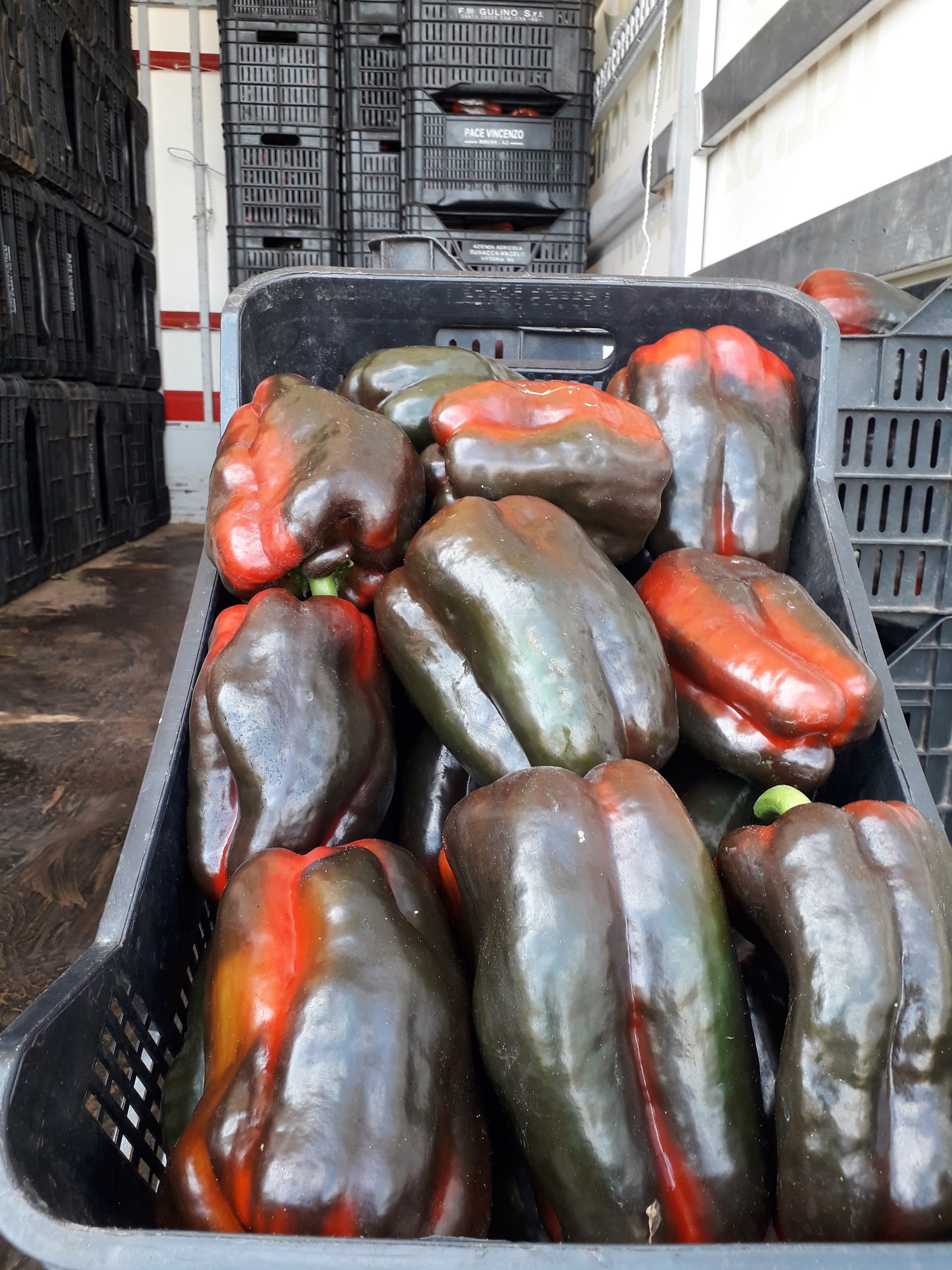 crates with peppers