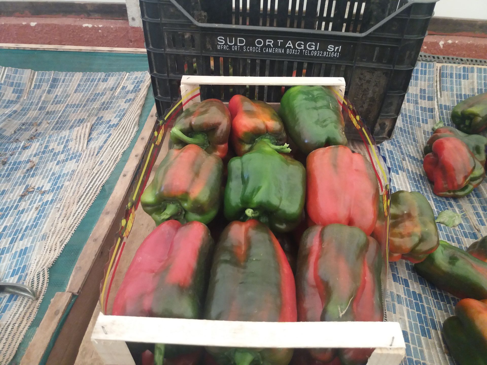 red peppers
