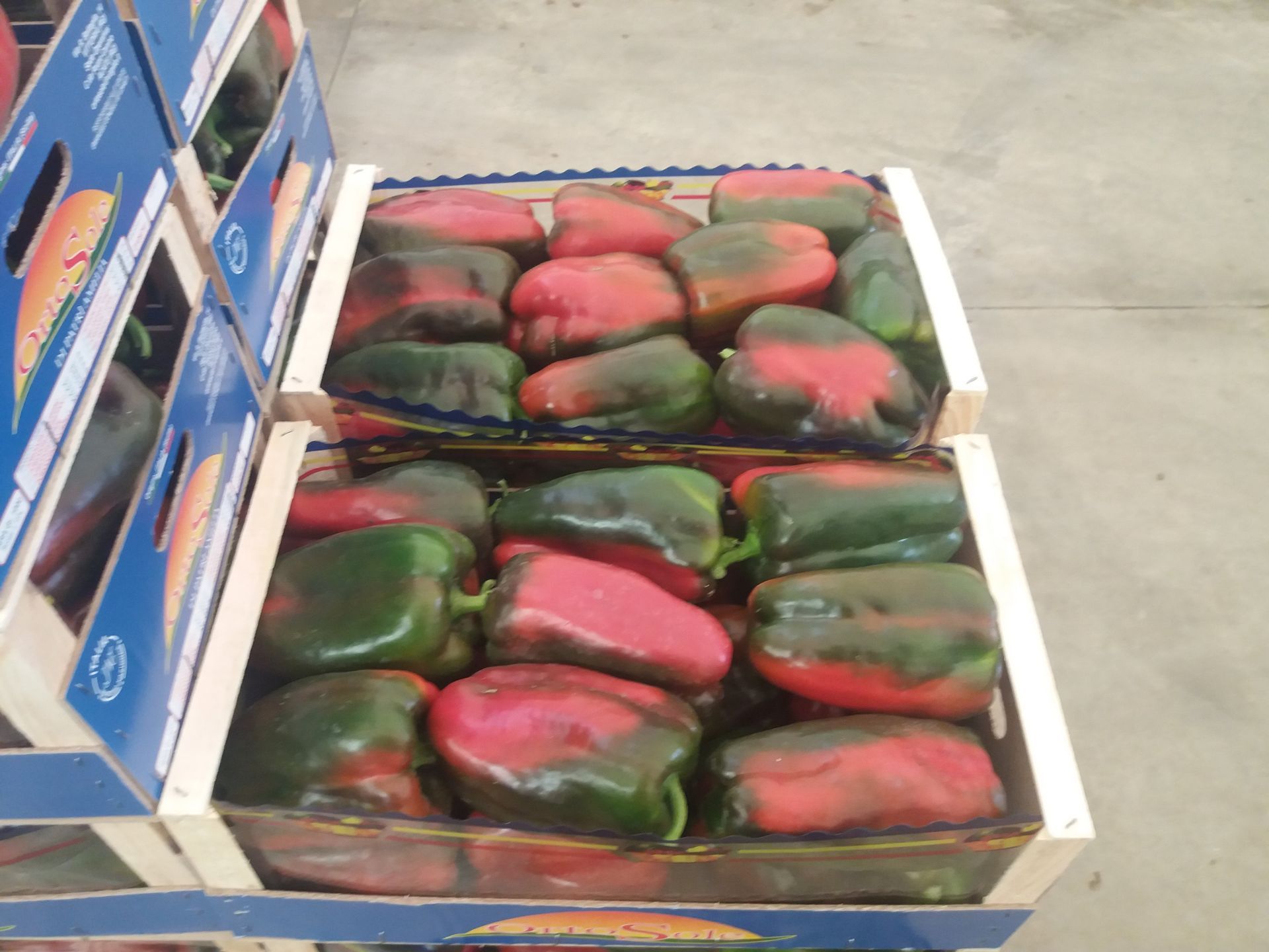 crates of red peppers