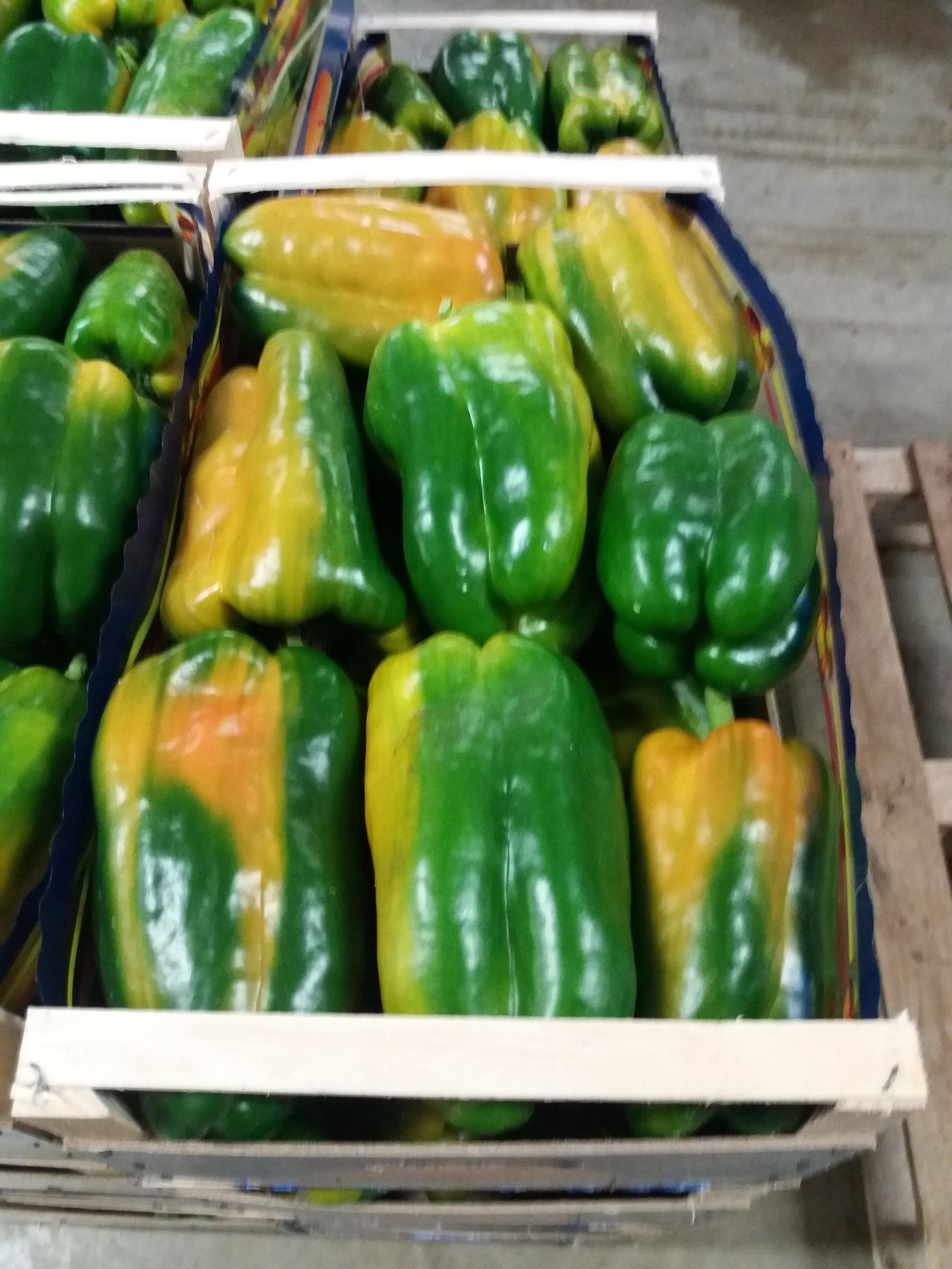 crates of yellow peppers