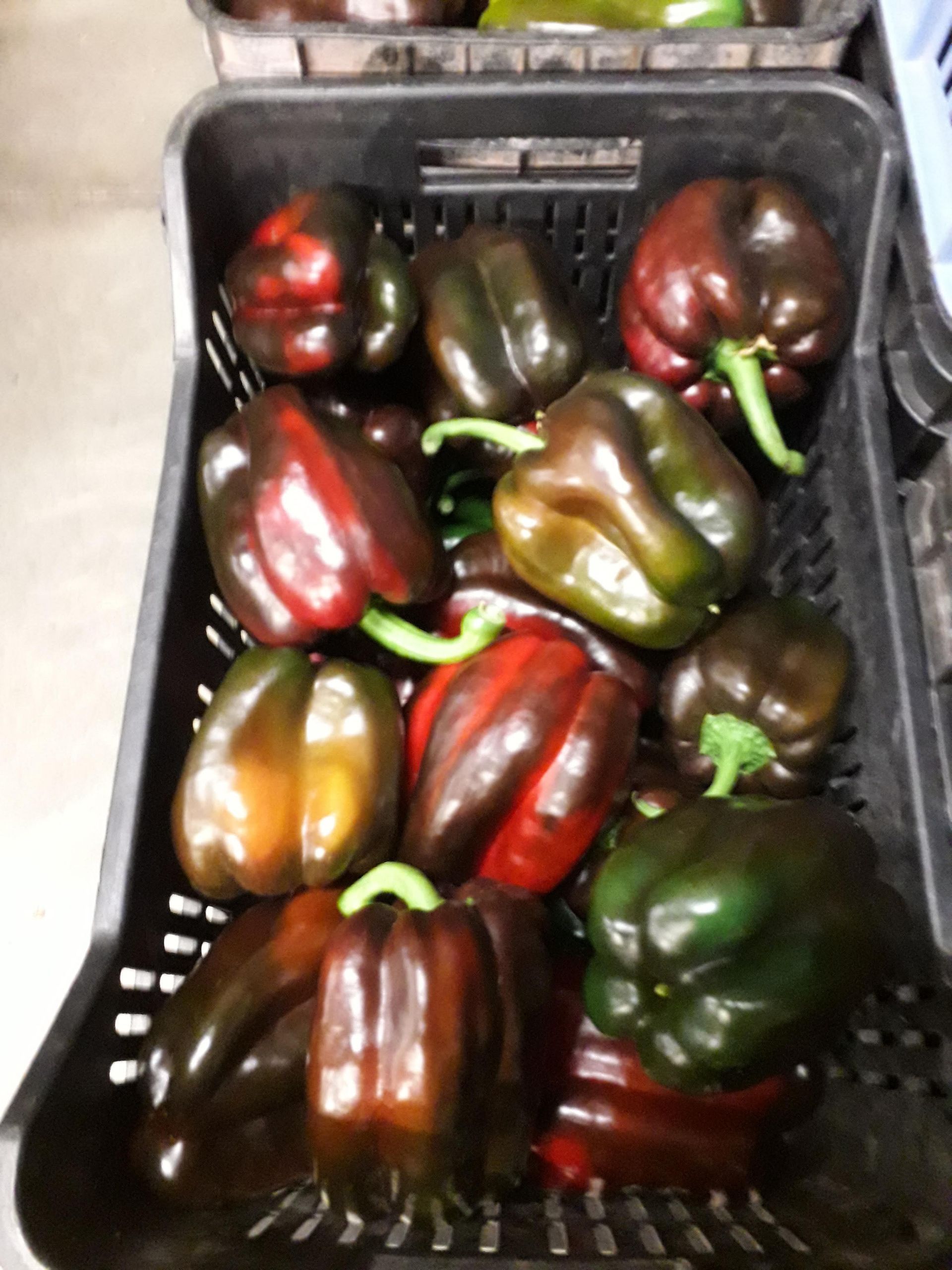 case of mixed peppers