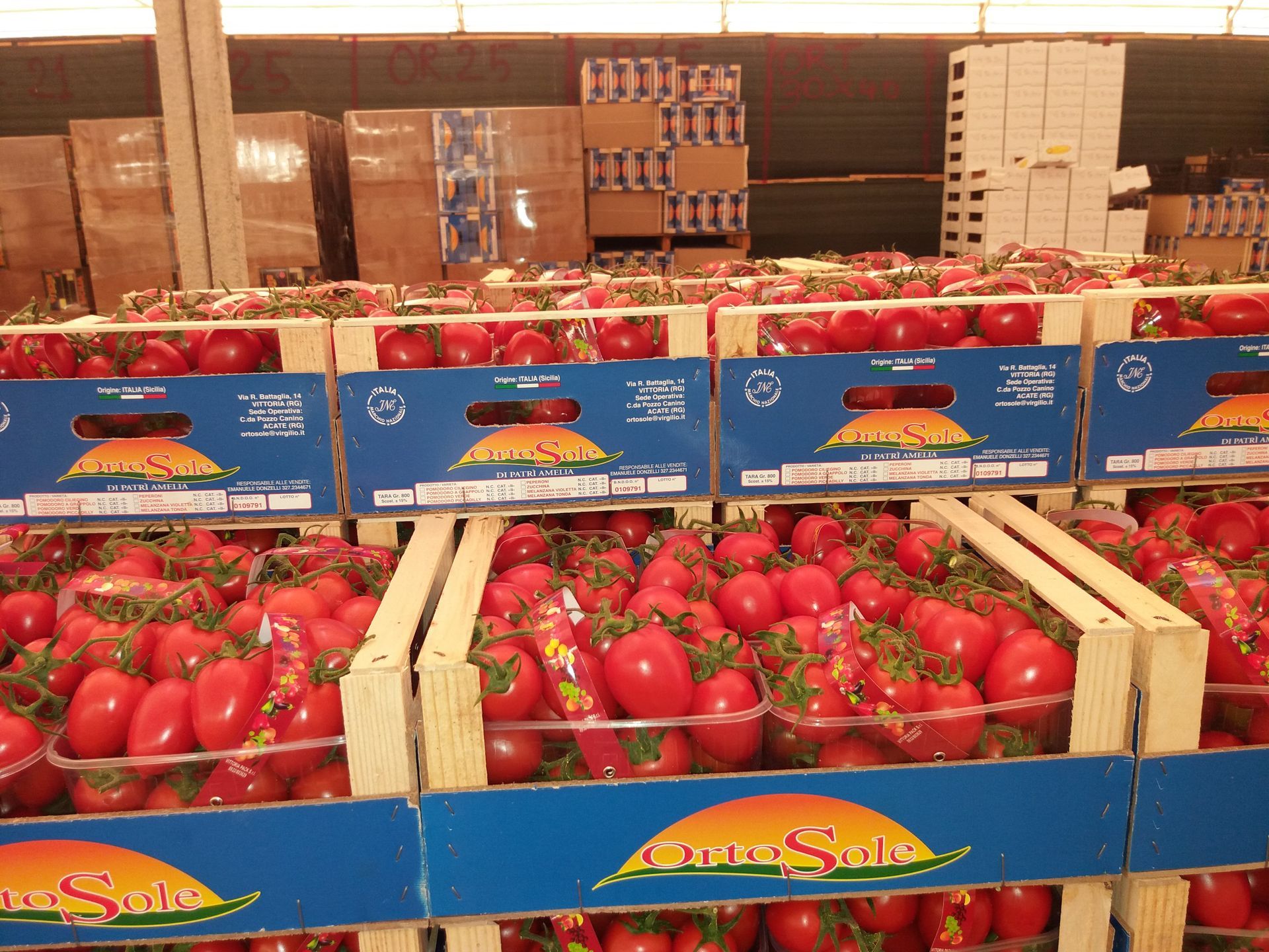 crates of piccadilly and cherry tomatoes
