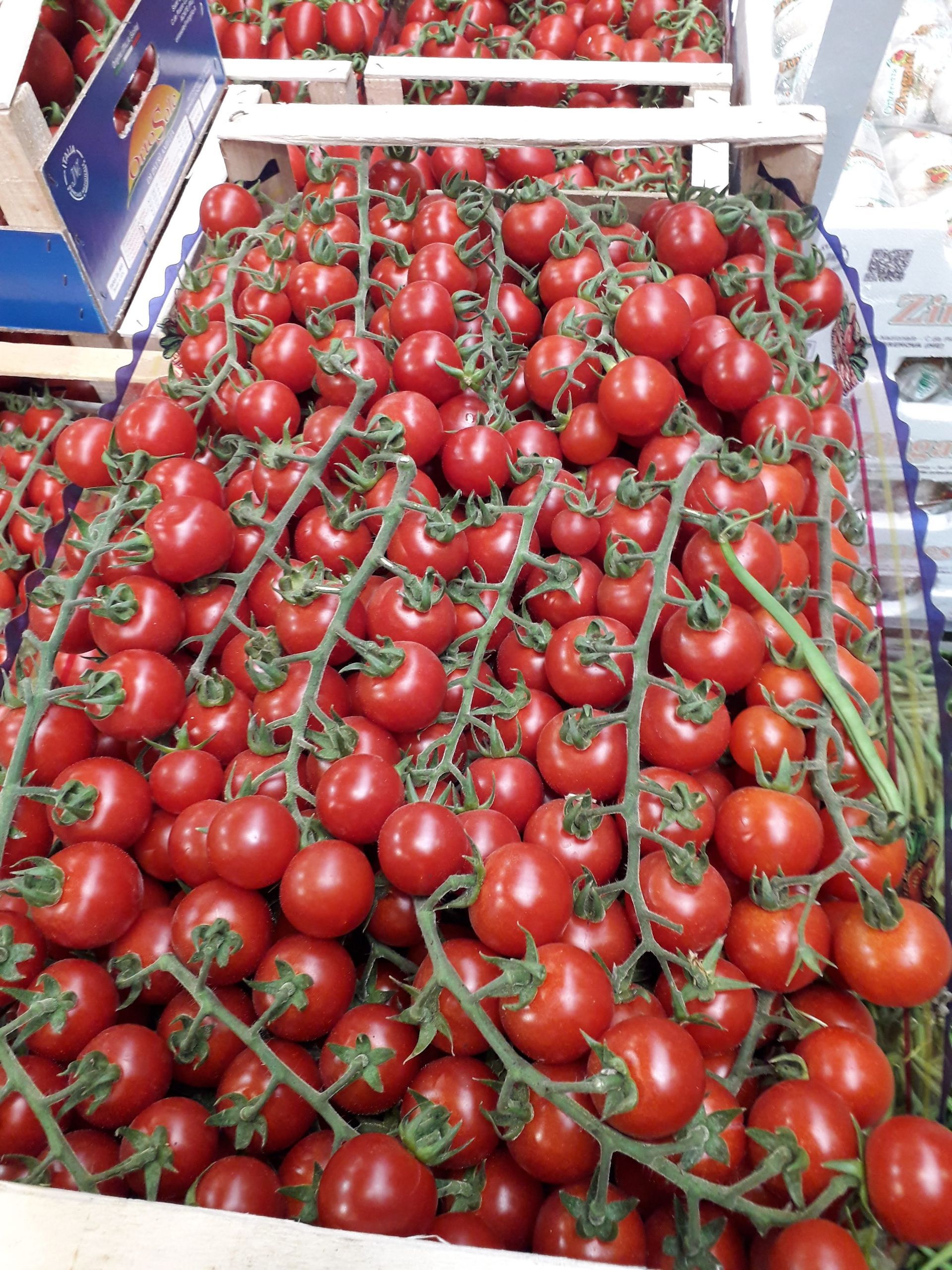 tomatoes