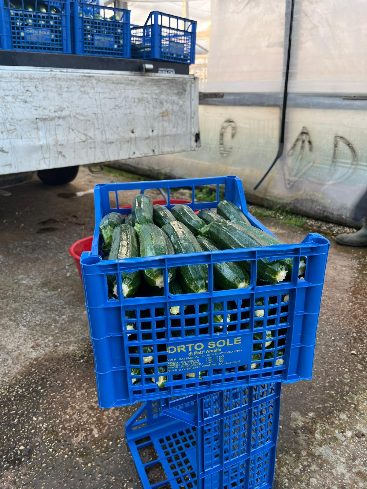 crate of courgettes