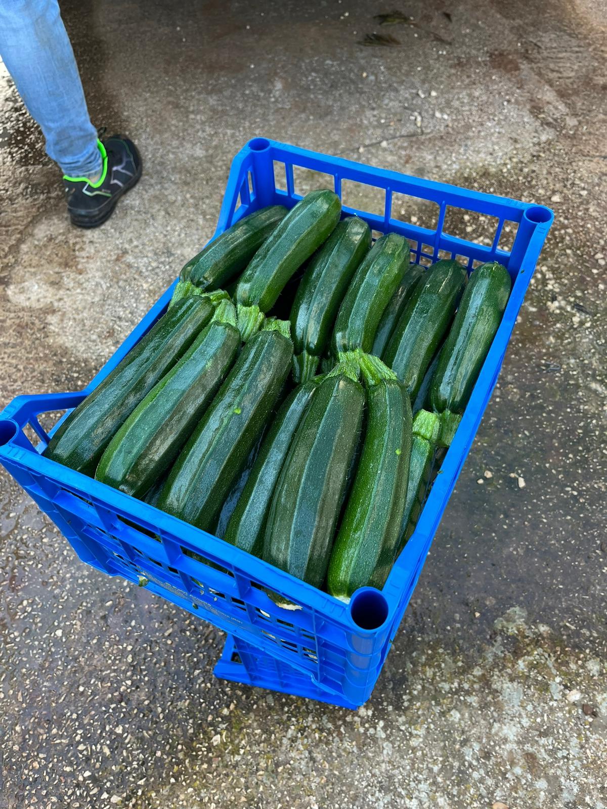 crate of courgettes