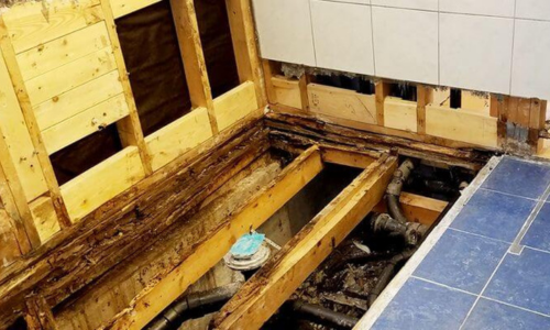 Mold Remediation Roseville Bathroom mold
