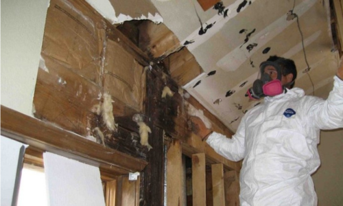 Mold Remediation Roseville CA Bathroom