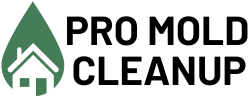 Pro Mold Removal Roseville