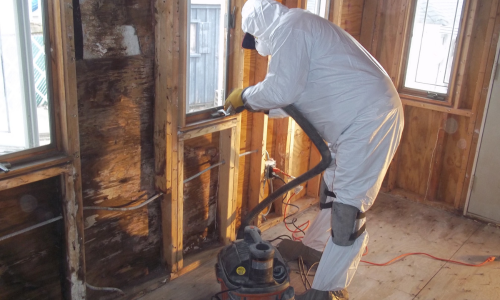 Roseville CA Mold Remediation