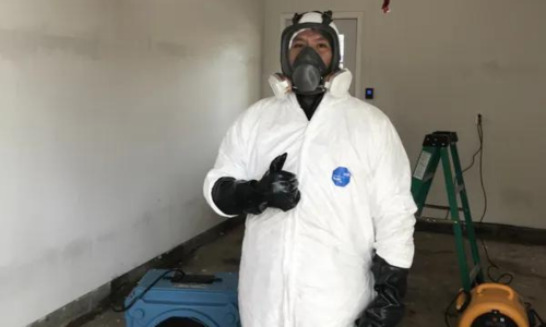 roseville mold removal