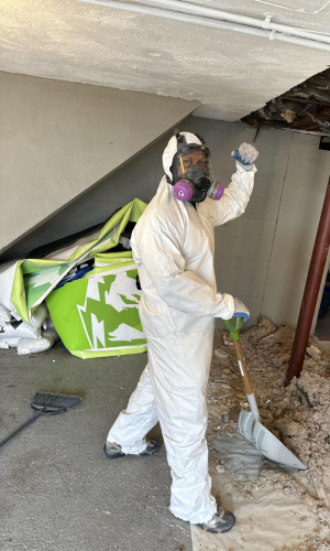 mold remediation companies roseville ca