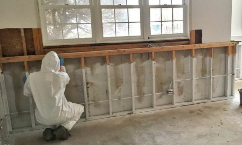 mold remediation companies roseville