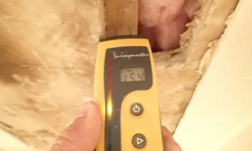 mold removal companies roseville