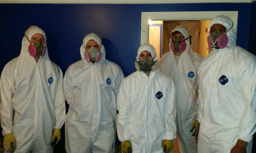 mold removal folsom ca