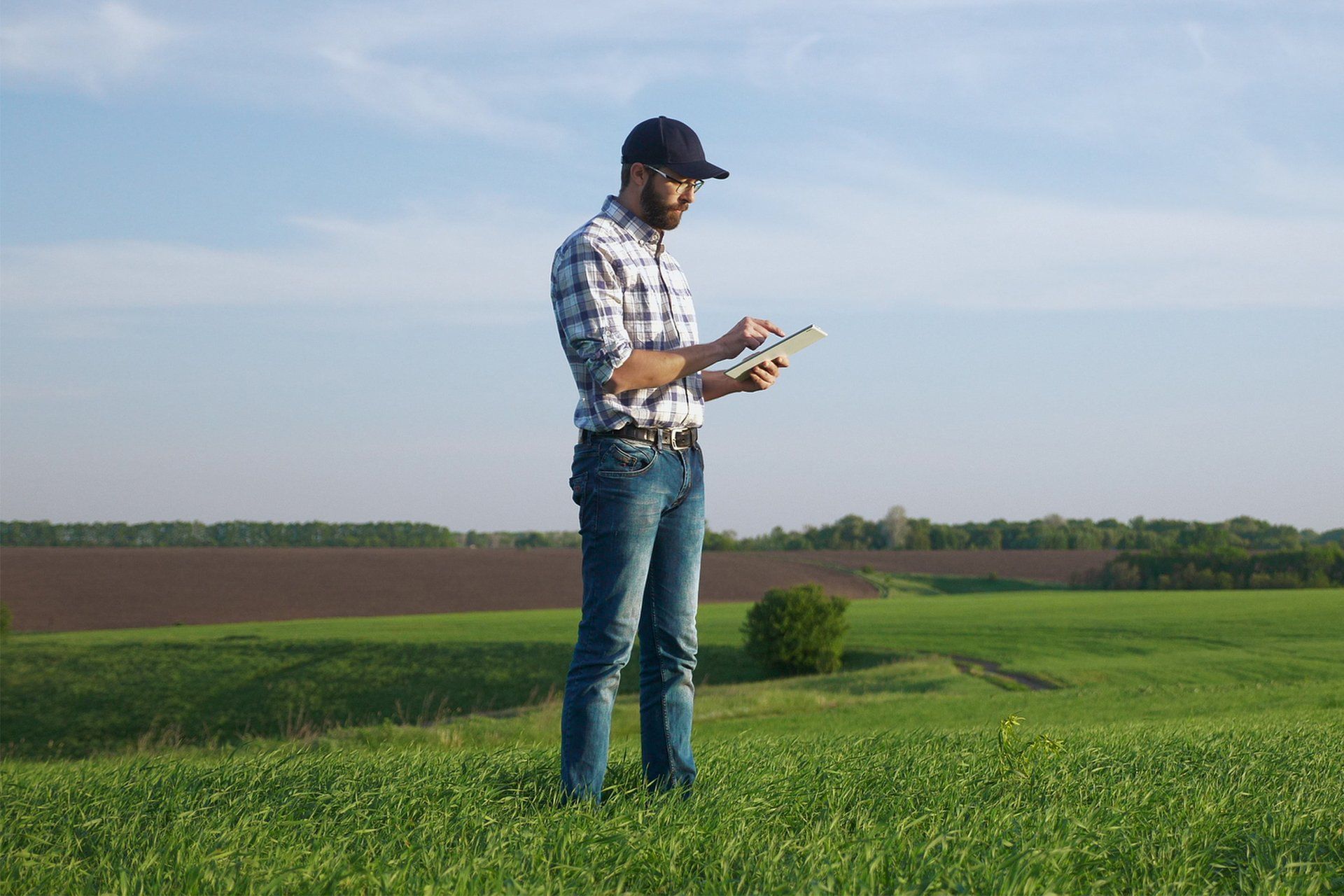 Man Inspecting the Open Green Field