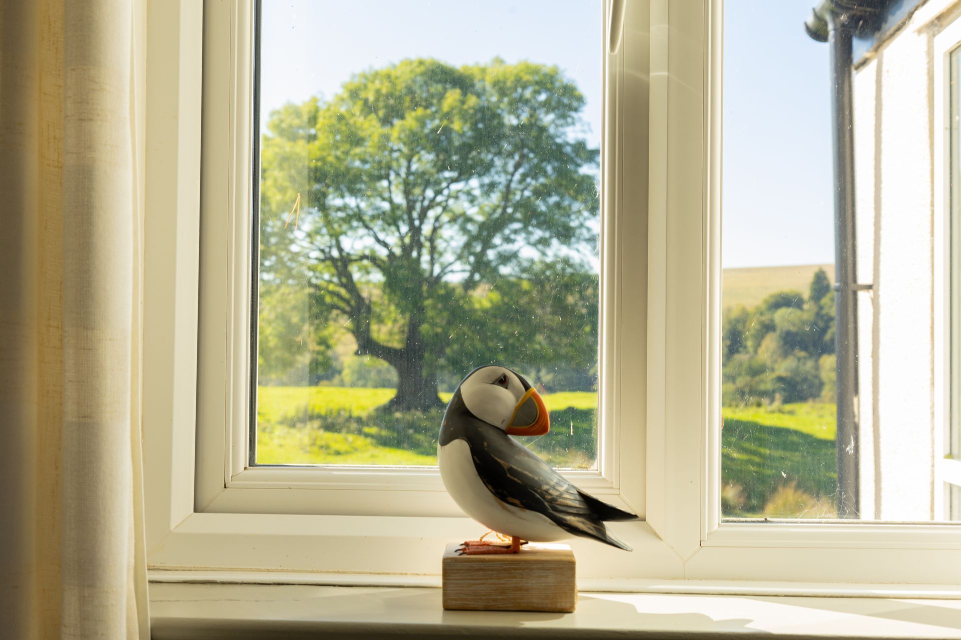 A puffin figurine on a windowsill with a sunlit green tree and fields outside.
