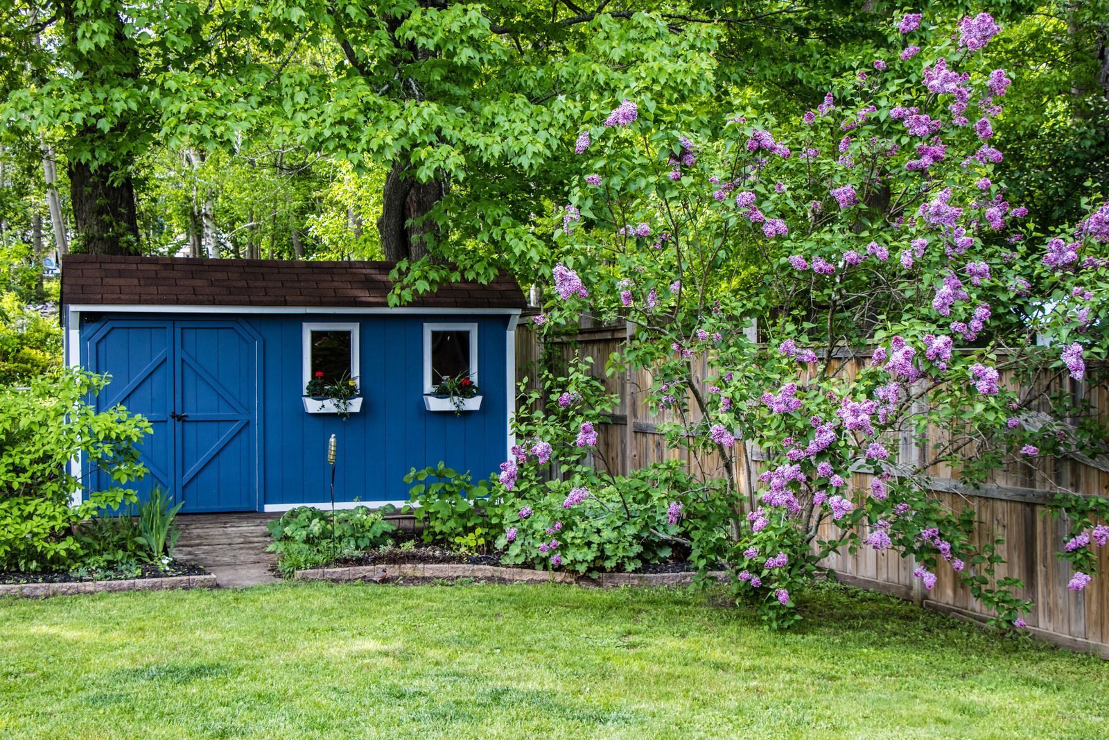 Toilet Installation & Repair in Jacksonville, Anniston & Oxford, Alabama