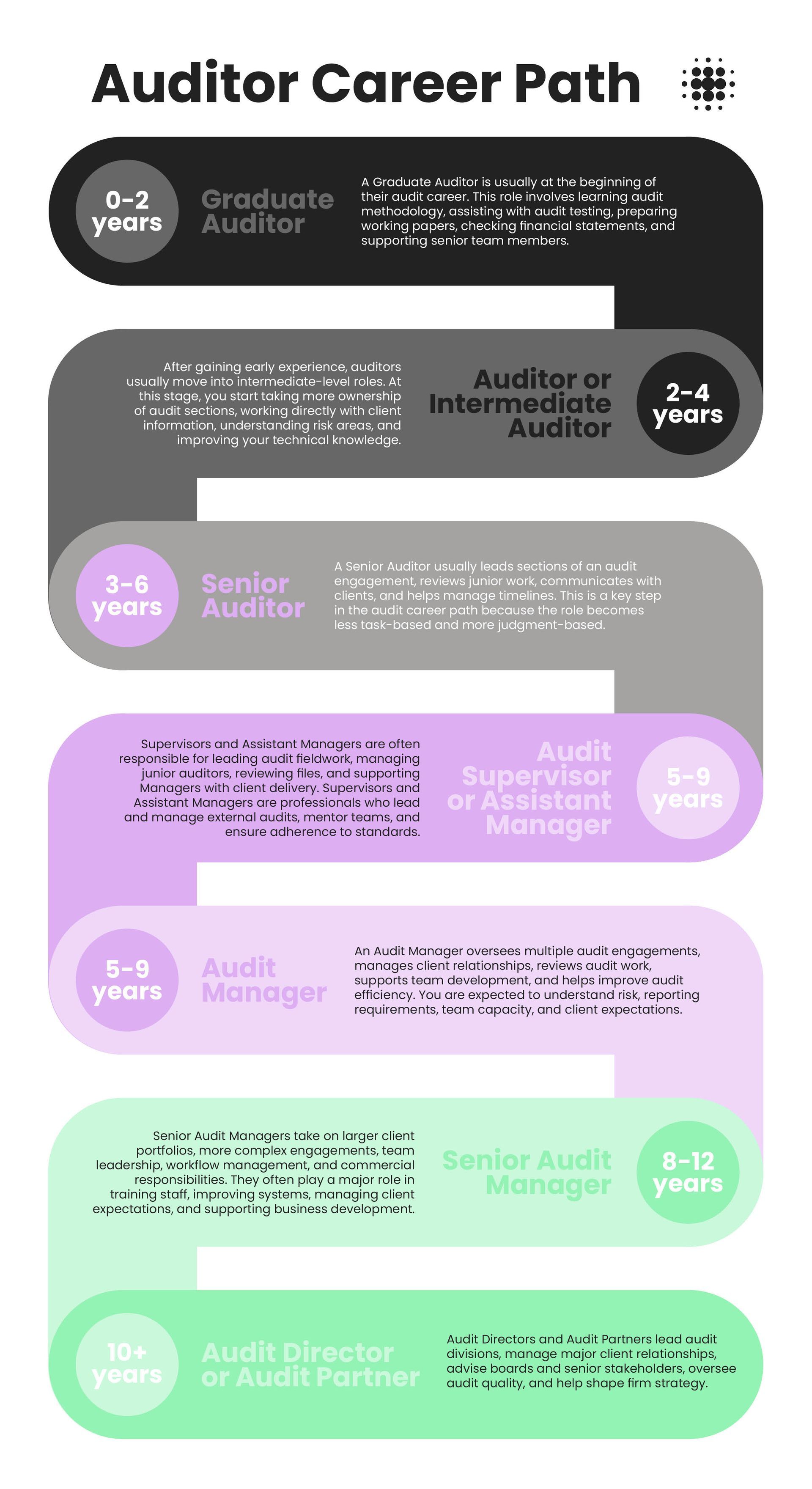 Auditor career path infographic with stacked dark, gray, purple, and green sections showing stages and roles
