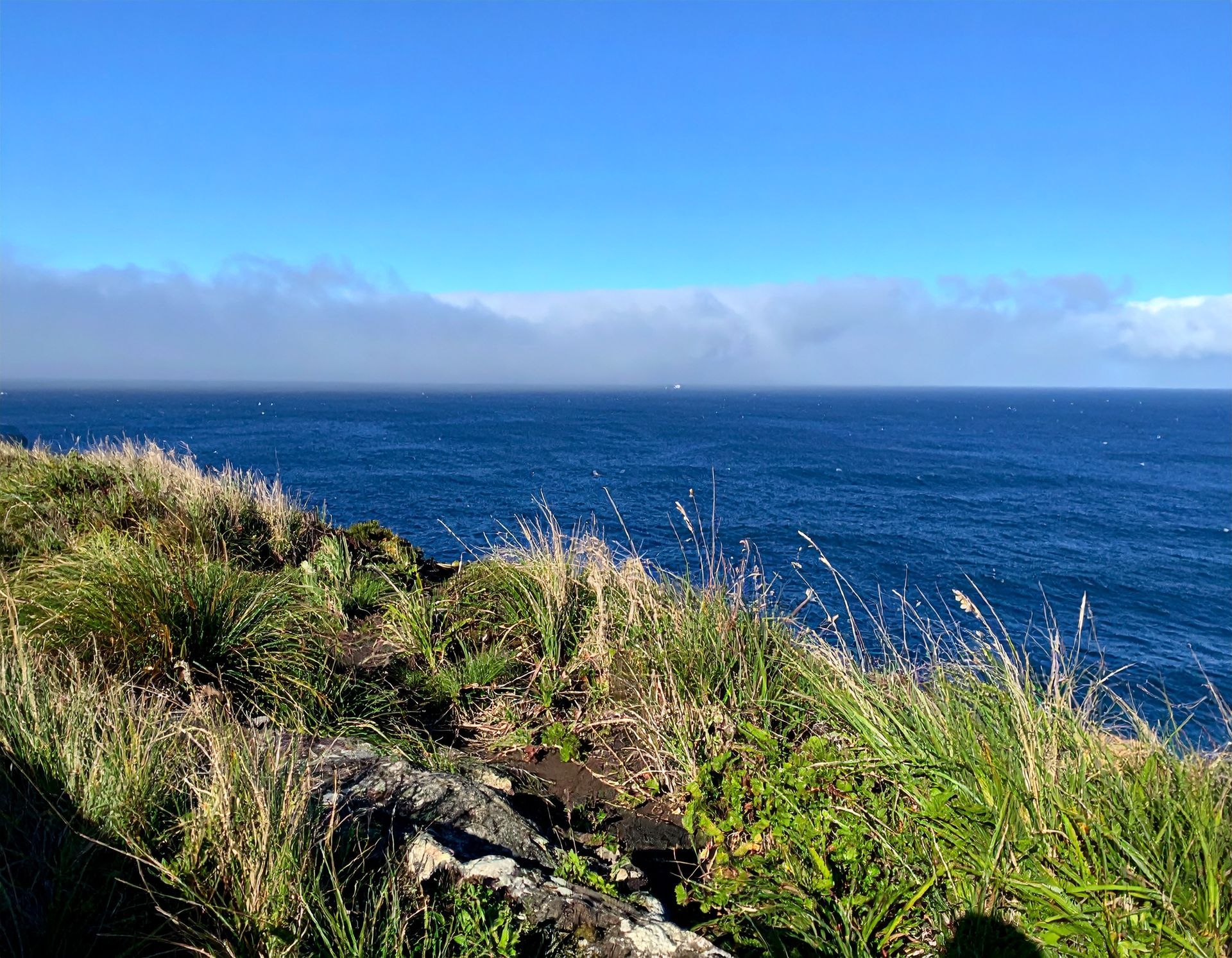 Grassy cliff overlooking a deep blue ocean under a bright blue sky