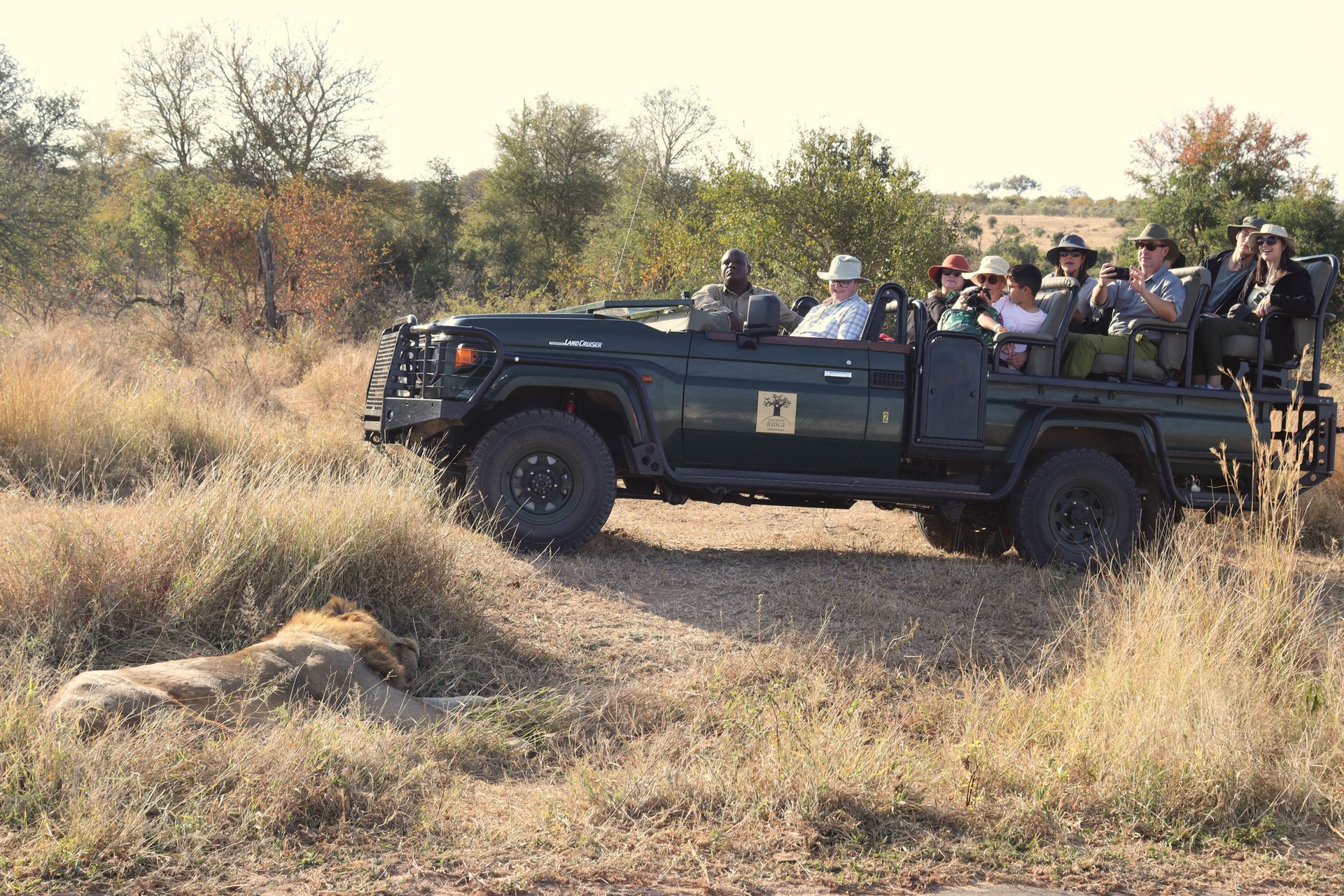 Open-top safari vehicle with passengers driving through dry grassland and shrubs