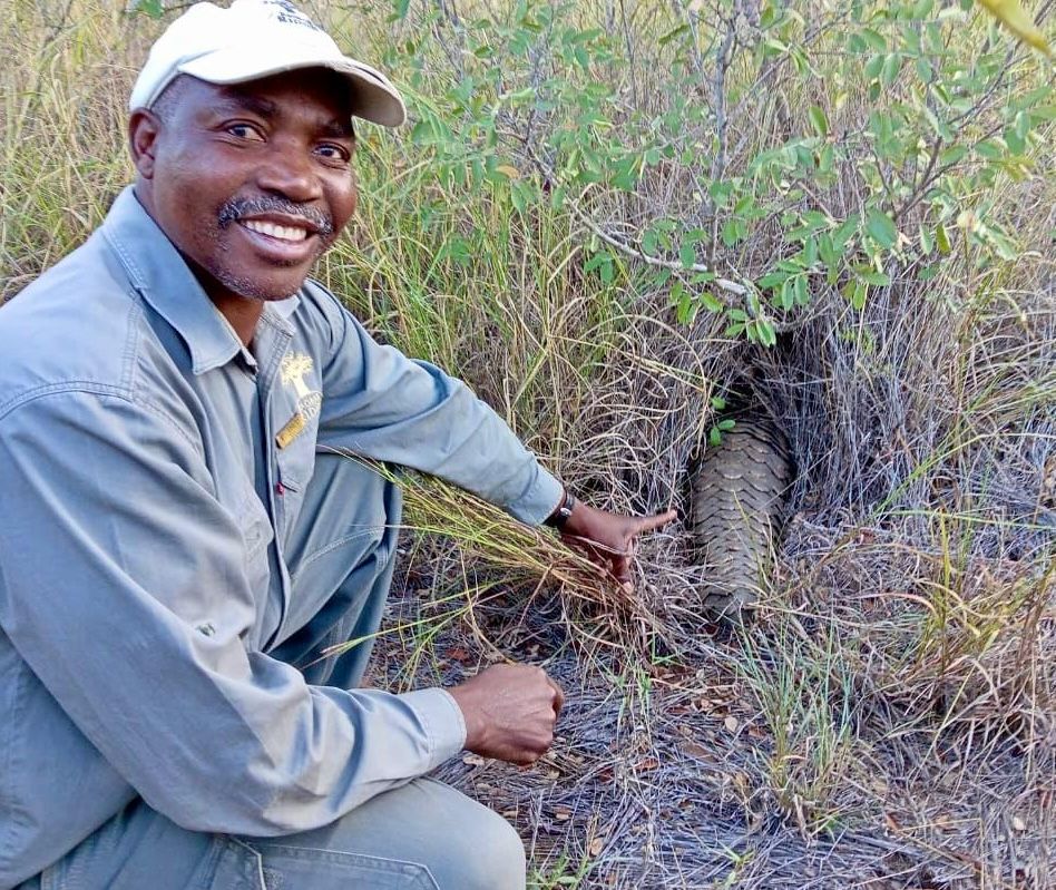 Smiling man in a gray shirt and white cap kneels beside a plant in dry grass.