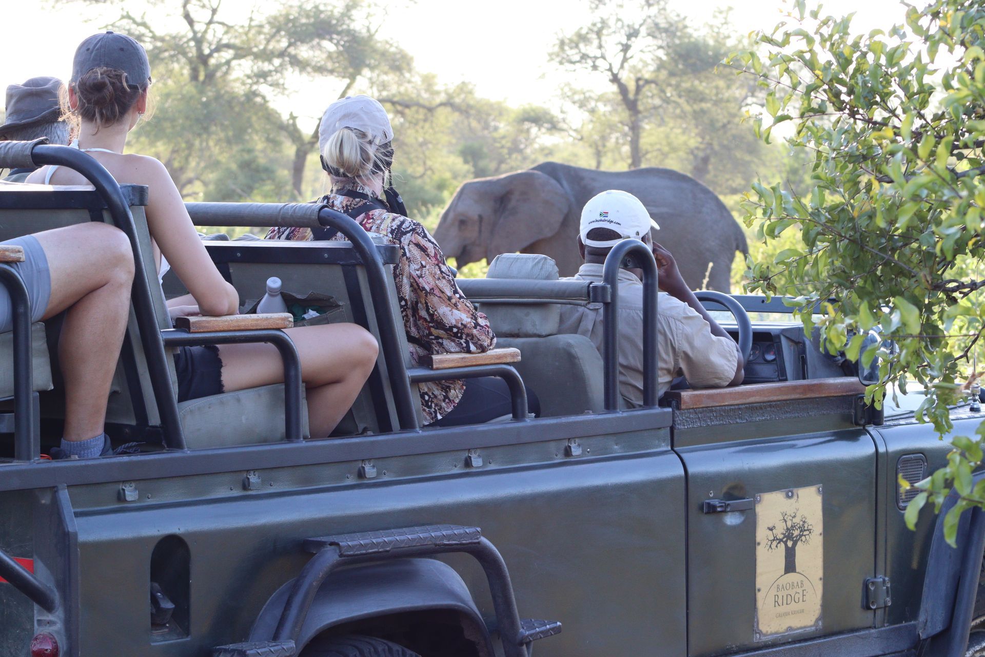 People riding in an open safari vehicle near elephants in a grassy reserve.