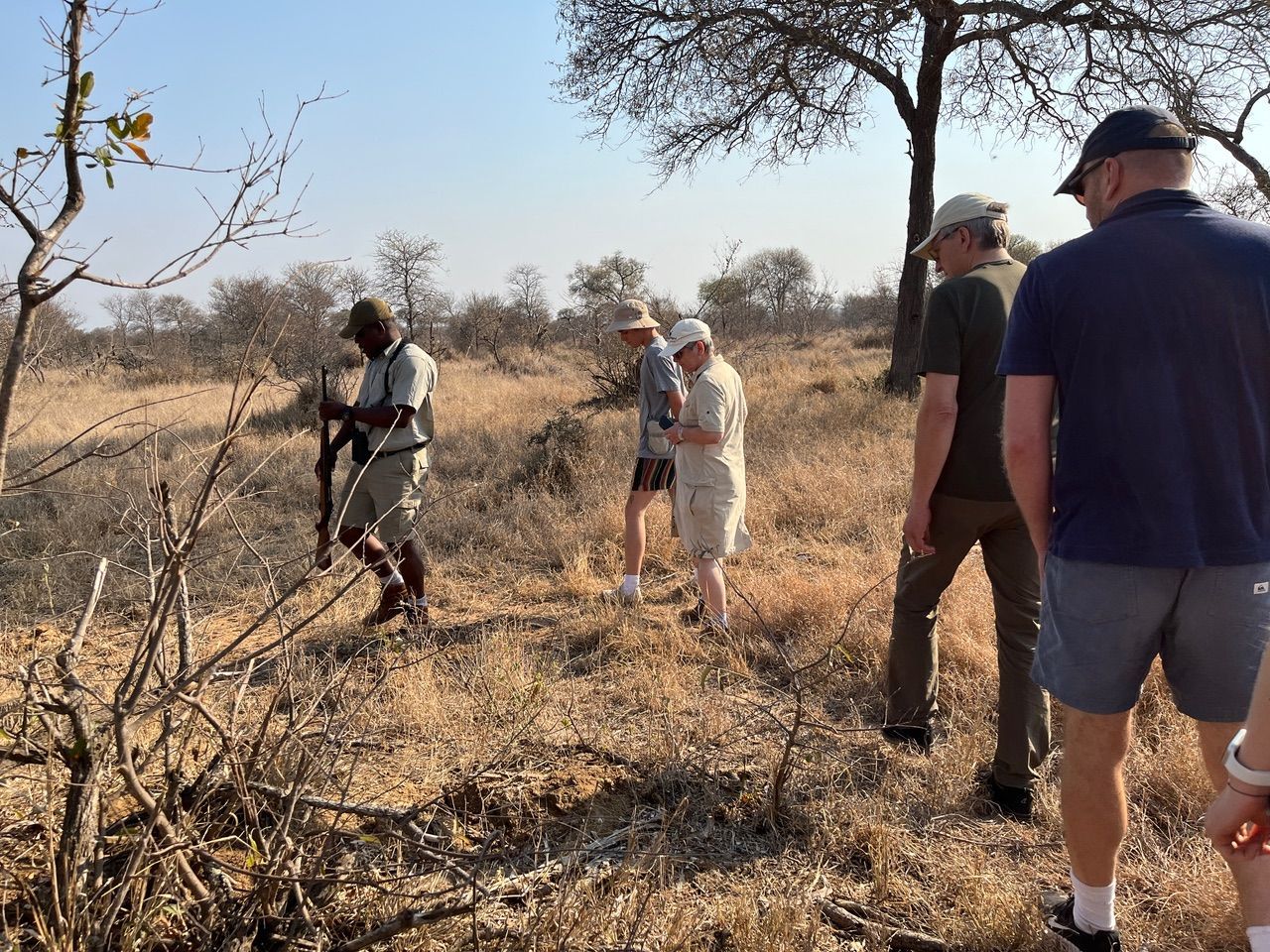 People hiking through dry brushland with trees and sparse vegetation.